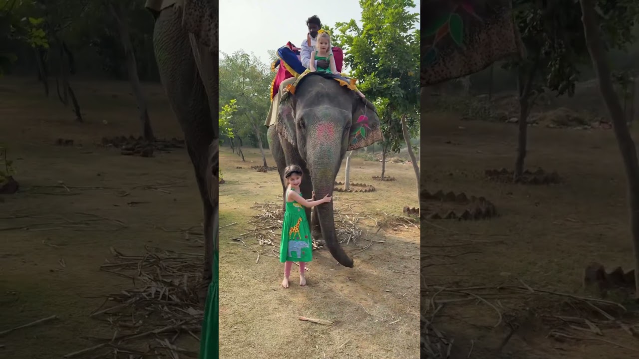 sisters love 😍😍😍elephant activity with elephant fun park #shorts