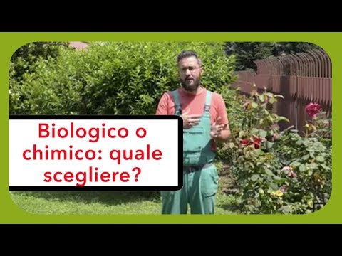 Video: Differenza Tra Fertilizzante Organico E Inorganico