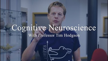 Cognitive Neuroscience with Professor Tim Hodgson | University of Lincoln