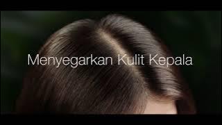 VIVA COSMETICS - HERBACARE SHAMPOO & CONDITIONER Alami Kebaikannya