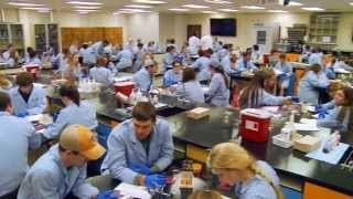 LSU School Of Veterinary Medicine