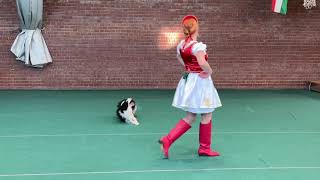 Dog Dancing Abszolút Országos Bajnokok 2021- Kriz Orsi És Josephine