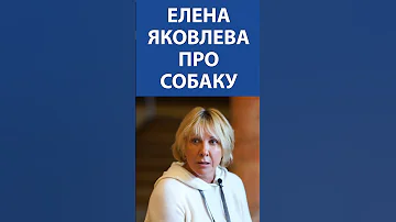 ЕЛЕНА ЯКОВЛЕВА про собаку