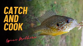 Sonnenbarsch fangen und kochen 🎣🍳 – Perfektes Catch & Cook Abenteuer!