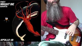 They Might Be Giants - Hall Of Heads (bass cover)