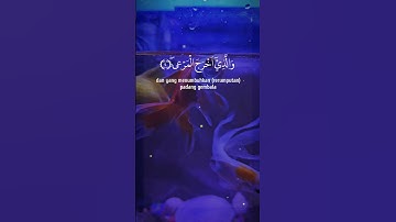 سبح اسم ربك الاعلى سورة الاعلى تلاوة هادئة عبد الرحمن مسعد😪🖤