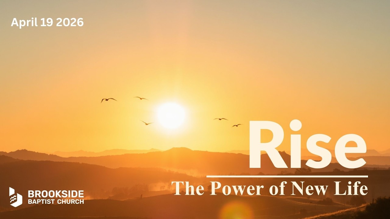 Apr 19 2026 - Rise - Part 3b - The Pattern of New Life