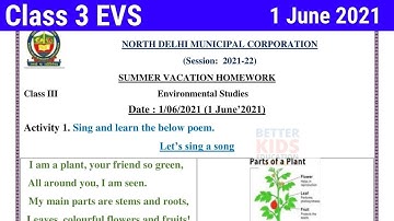 NDMC Class 3 EVS Summer vacations Holiday Homework in English || 01 June 2021 hhw
