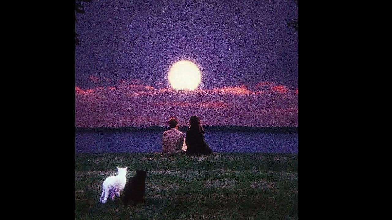 Indila LoveStory but its only the magical part (loop) Indila LoveStory but its only the magical part (loop)