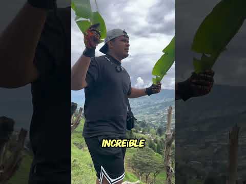 No puedo creer que esto me sucediera a mí