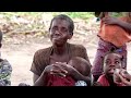 Congo  des pygmes expulss par le projet bacasi 