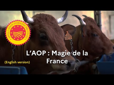 L'AOP, magie de