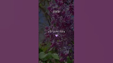 سورة الإسراء #اكسبلور #المصحف
