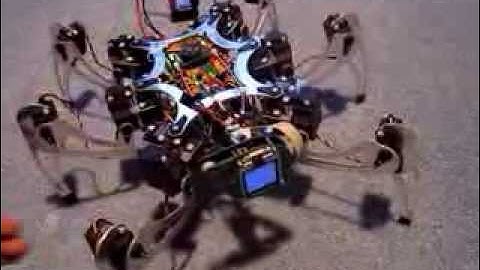 First Hexapod robot attempt