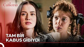 Hayallerimi Kabusa Çevirdiler... Çalıkuşu 8. Bölüm