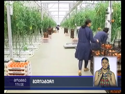 მედიატური სამეგრელო-ზემო სვანეთში