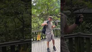 Thieving Monkey Steals From Bag Then Growls At Man 😂🐒
