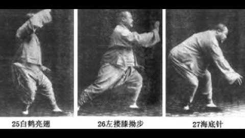Yang Cheng Fu Yang Style Tai Chi Picture