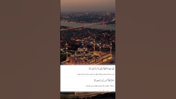 شيخ رعد الكردي حالات واتس اب | سورة (يس: ٥٥)