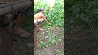 Naghawan ak yana kay para baga makagtanom nalat akon ganas.