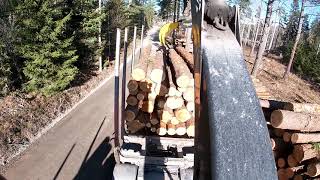 Download Lagu Loading and unloading Timber #1 MP3