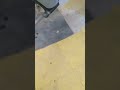 ربما ليس اليوم وربما ليس غدا وربما ليس الشهر القادم ولاكن هناك شئ واحد صحيح ساكون بطلا يوما ما ربما ليس اليوم وربما ليس غدا وربما ليس الشهر القادم ولاكن هناك شئ واحد صحيح ساكون بطلا يوما ما