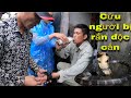 Cuộc Gọi Tử Thần Cứu Người Dân Bị Rắn Độc Cắn Suýt Mất M.ạng| cobra bites people