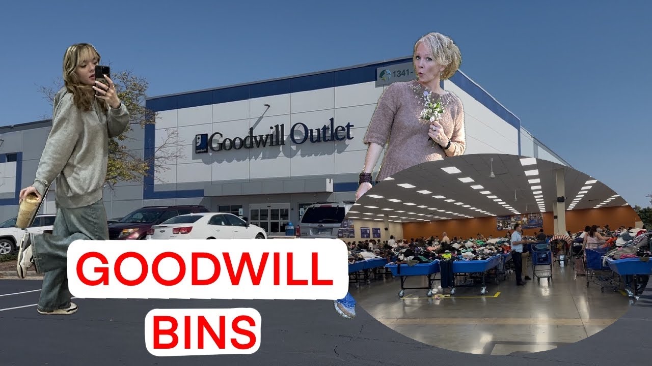 GOODWILL BINS AGAIN...