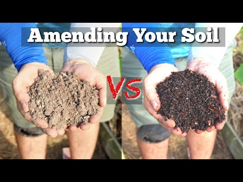 Amending Your Soil to increase drainage and increase the retention of nutrients