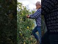 Marmelos