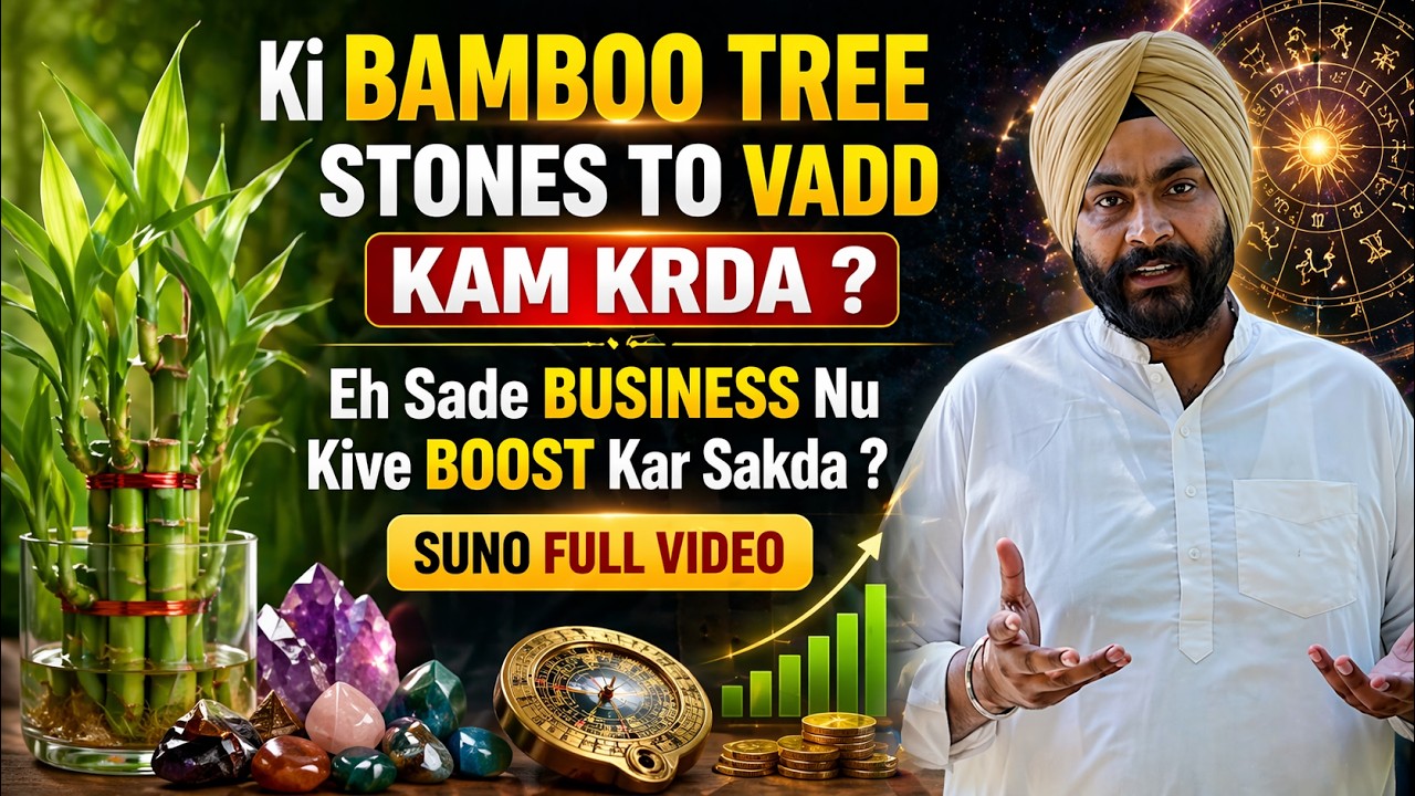 Ki Bamboo Tree Stones To Vadd Kam Krda ? | Eh Sade Business Nu Kive ...