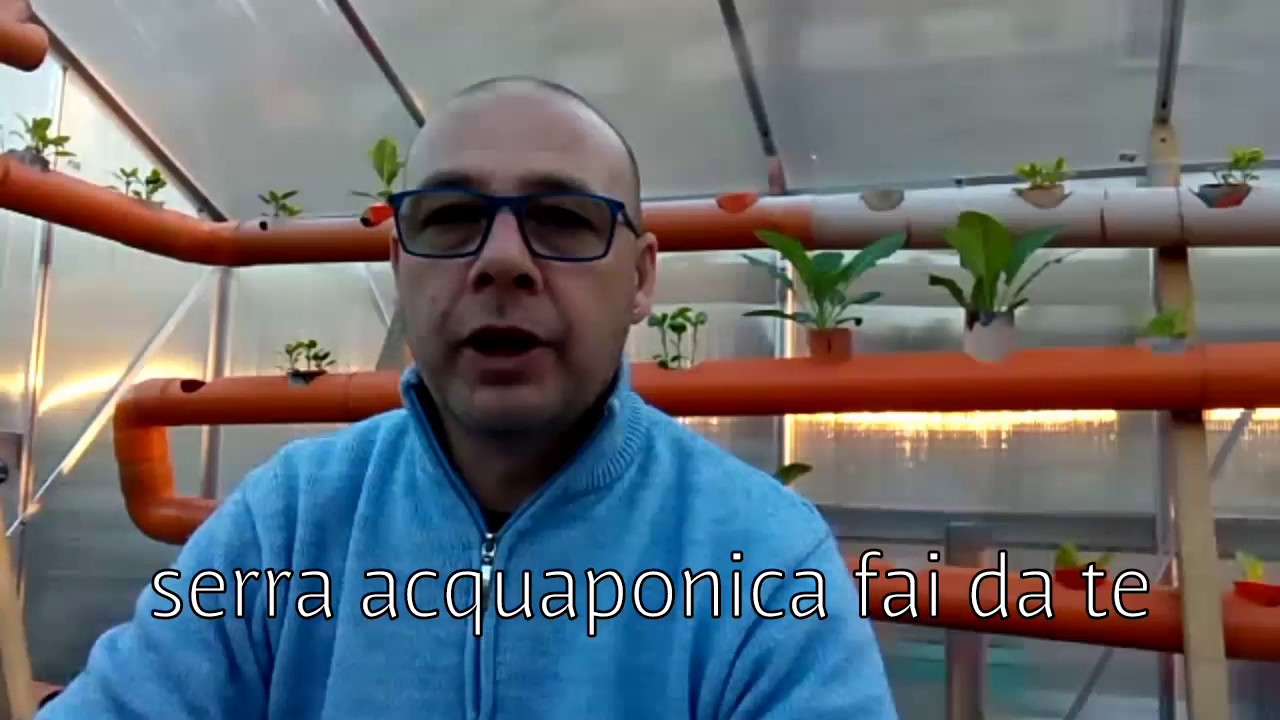 Acquaponica E Idroponica Youtube