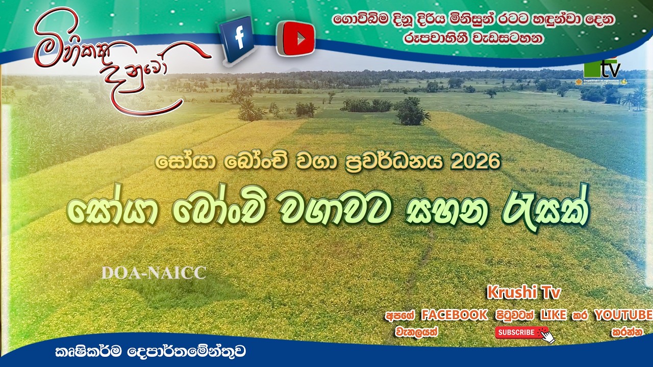 Mihikatha Dinuwo TV Program | සෝයා බොංචි ප්‍රවර්ධනය 2026 | 2026-02-20 | Krushi TV