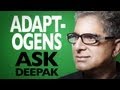 What Are Adaptogens? Ask Deepak Chopra!