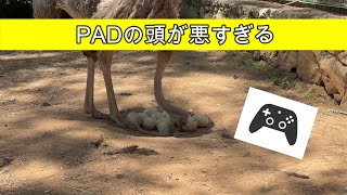 [パクリ]PADの頭が悪すぎる