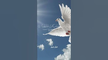 أقم الصلاة لدلوك الشمس | القارئ ياسر الدوسري | سورة الإسراء
