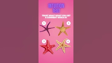 Intuition Test - Which starfish did I choose?