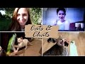 Cats &amp; Chats | PJK