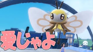 『ポケモン』火炎玉すりかえ第二弾『ケモトカゲ』