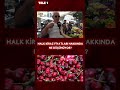 Kiraz fiyatını gören şoke oldu! Pazardaki amca geçim derdini tişörtünü sıyırarak gösterdi!