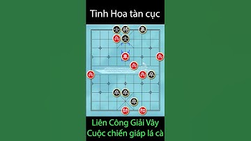 Bí kíp giải cờ thế hiểm ác Liên công giải vây