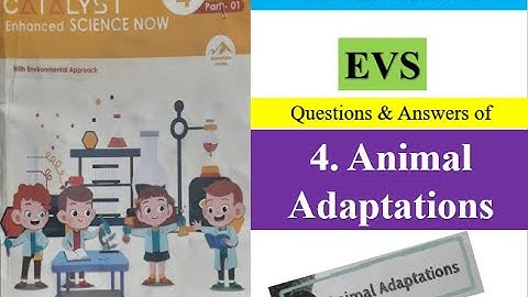 4. Animal Adaptations, EVS Class 4, Question and answers @trickstocrack