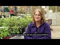 In the gardens - Katy&#39;s story (subtitled)
