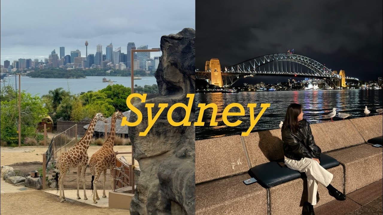 시드니 여행 필수 코스✨타롱가주 동물원 · 약국 쇼핑 · 공항 라운지 완전정복