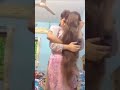 Karachi Girls leak videos