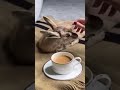 شبيه غزال الريم بعنق وجسد وسيعة محاجر والهدب مايل ظل ه شبيه غزال الريم بعنق وجسد وسيعة محاجر والهدب مايل ظل ه