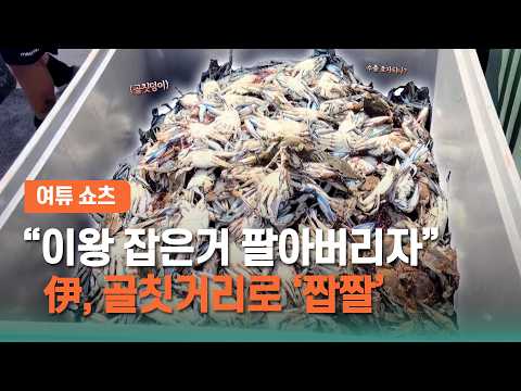 [여튜 쇼츠] "이왕 잡은거 팔아버리자" 伊, 골칫거리로 '짭짤' / 여의도튜브