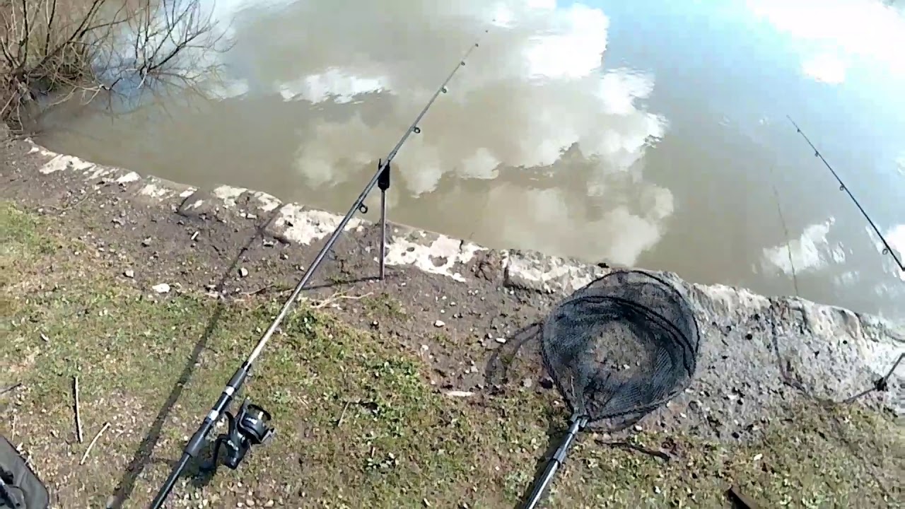 dead baits direct