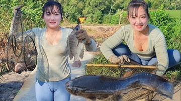 Kinh hoàng cảnh thăm lờ dính toàn cá khủng đặc biệt dính cặp cá lóc độc lạ nhất trừ trước đến giờ