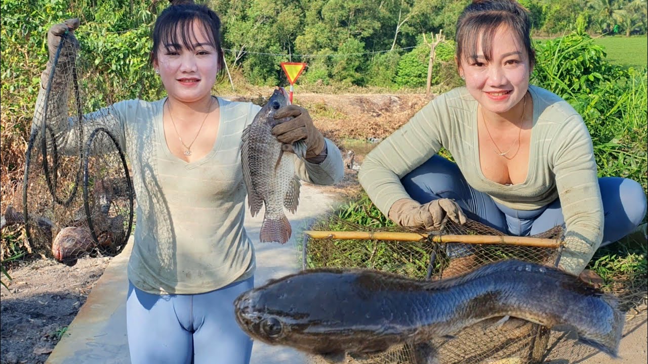 Kinh hoàng cảnh thăm lờ dính toàn cá khủng đặc biệt dính cặp cá lóc độc lạ nhất trừ trước đến giờ